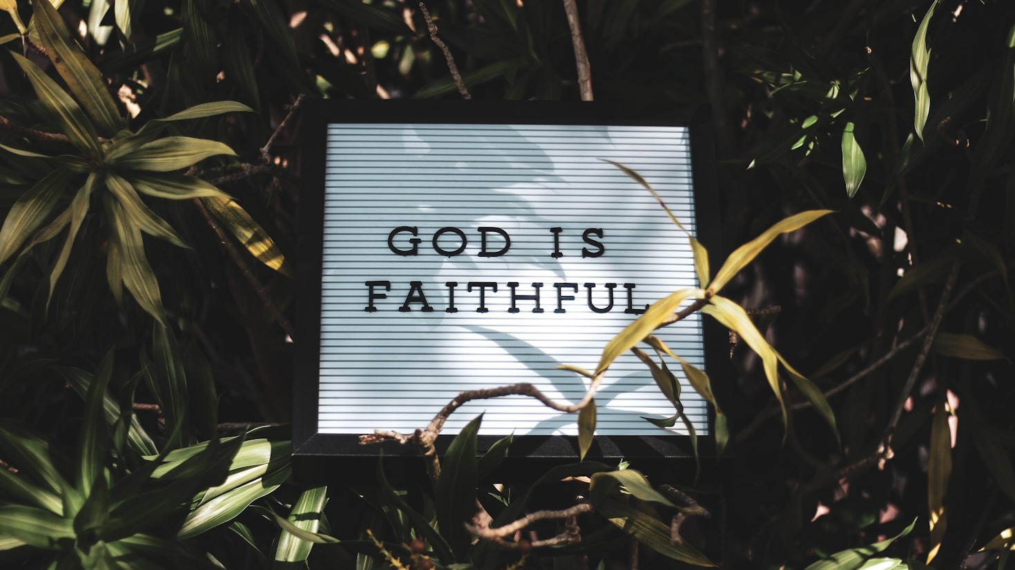 The Role of Faith in Building Resilience